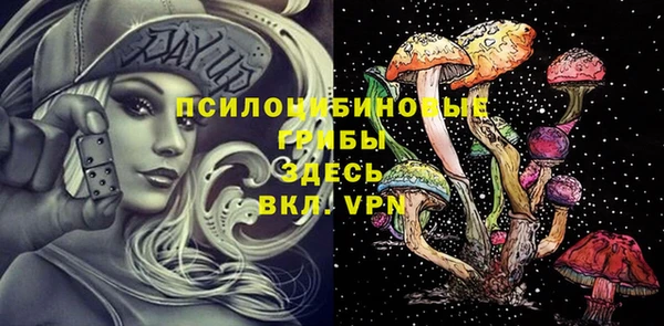 эйфоретик Белокуриха