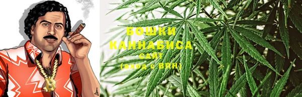 PSILOCYBIN Богородицк