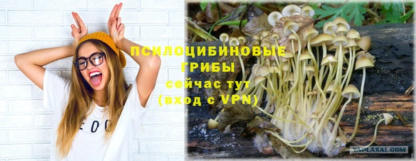 эйфоретик Белокуриха